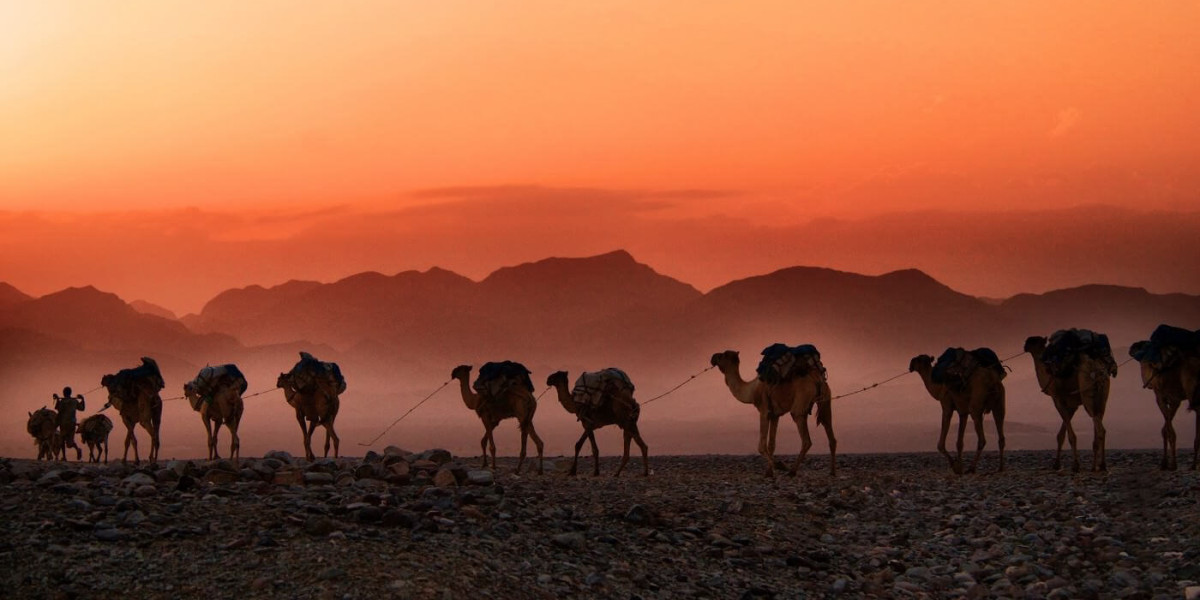 A caravan of camels in the desert. The sun sets and paints the sky orange. Mountains are visible in the background.